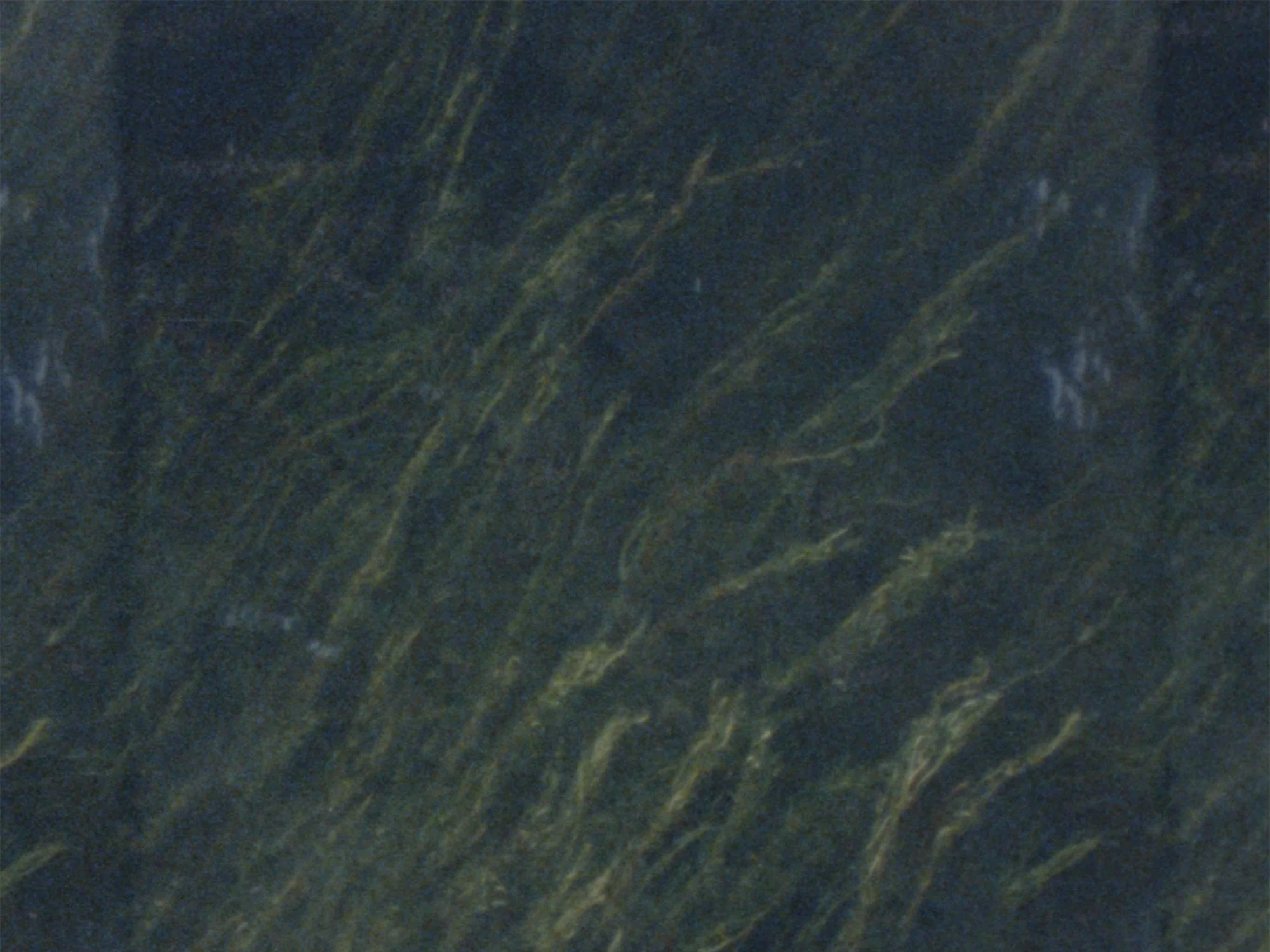 Exclusive Dermot Kennedy Official Merch